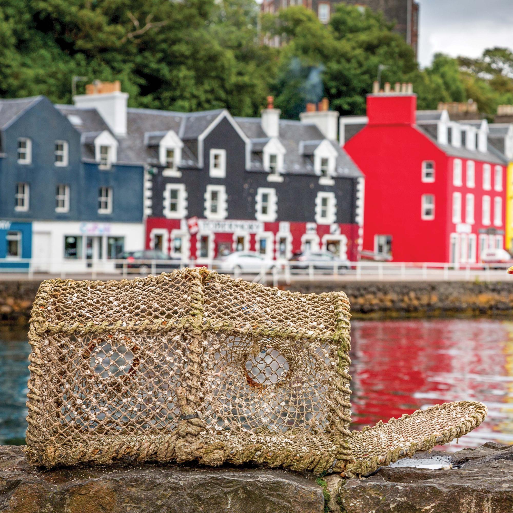 A seagull perched on the pier in front of the colorful village of Tobermory, Isle of Mull, Inner Hebrides, Scotland.