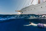 A guest swimming next to Sea Cloud in Les Saintes Bay, Terre-de-Haut, Iles des Saintes