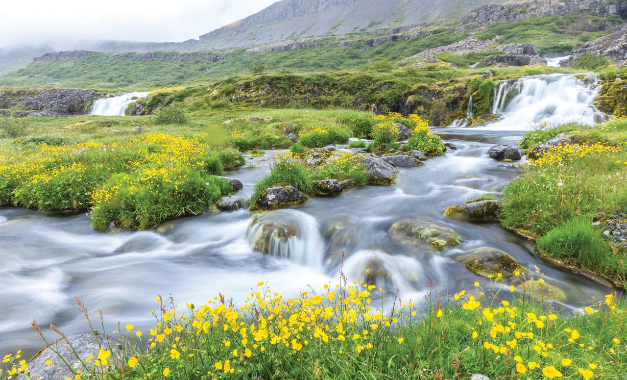 Dynjandi waterfall with green grass and yellow flowers, Westfjords, Iceland.