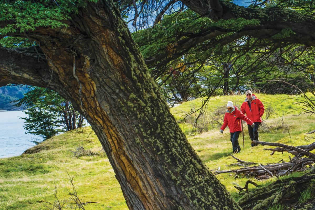 Two guests hike through Yendigaia Private Reserve, Darwin Range, Augostini National Park, Tierra Del Fuego, Patagonia, Chile