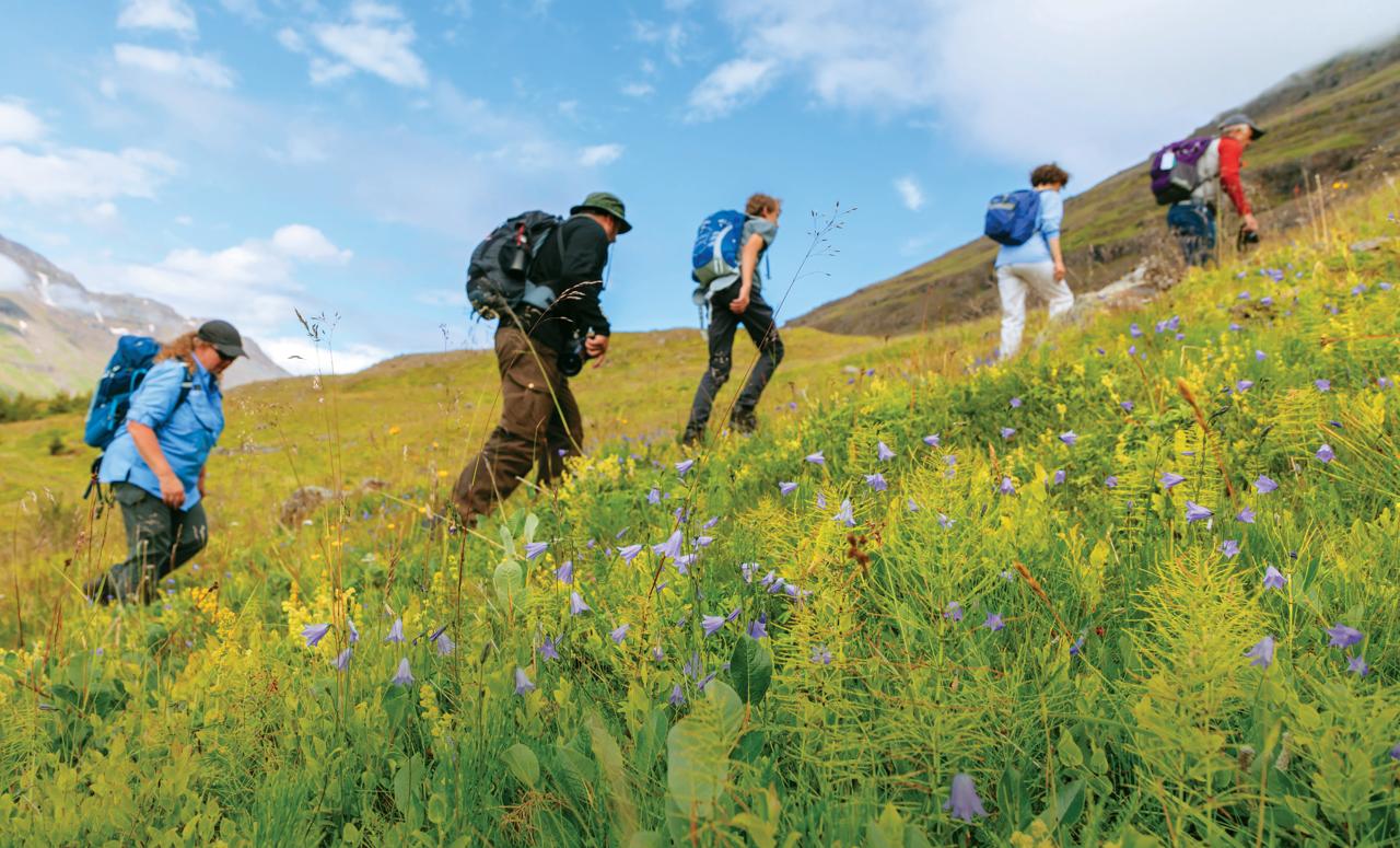 Guests hiking in Iceland.