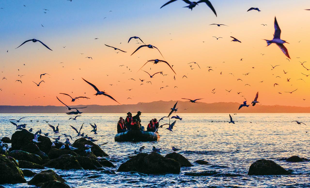 Guests bird watch by zodiac during sunrise, Baja California, Mexico.