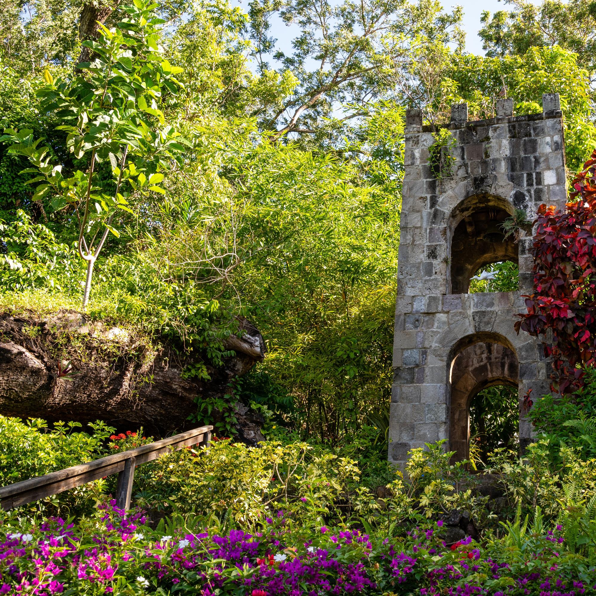 Sugar mill ruin and beautiful rainforest in Wingfield Estate sugar plantation st. kitts