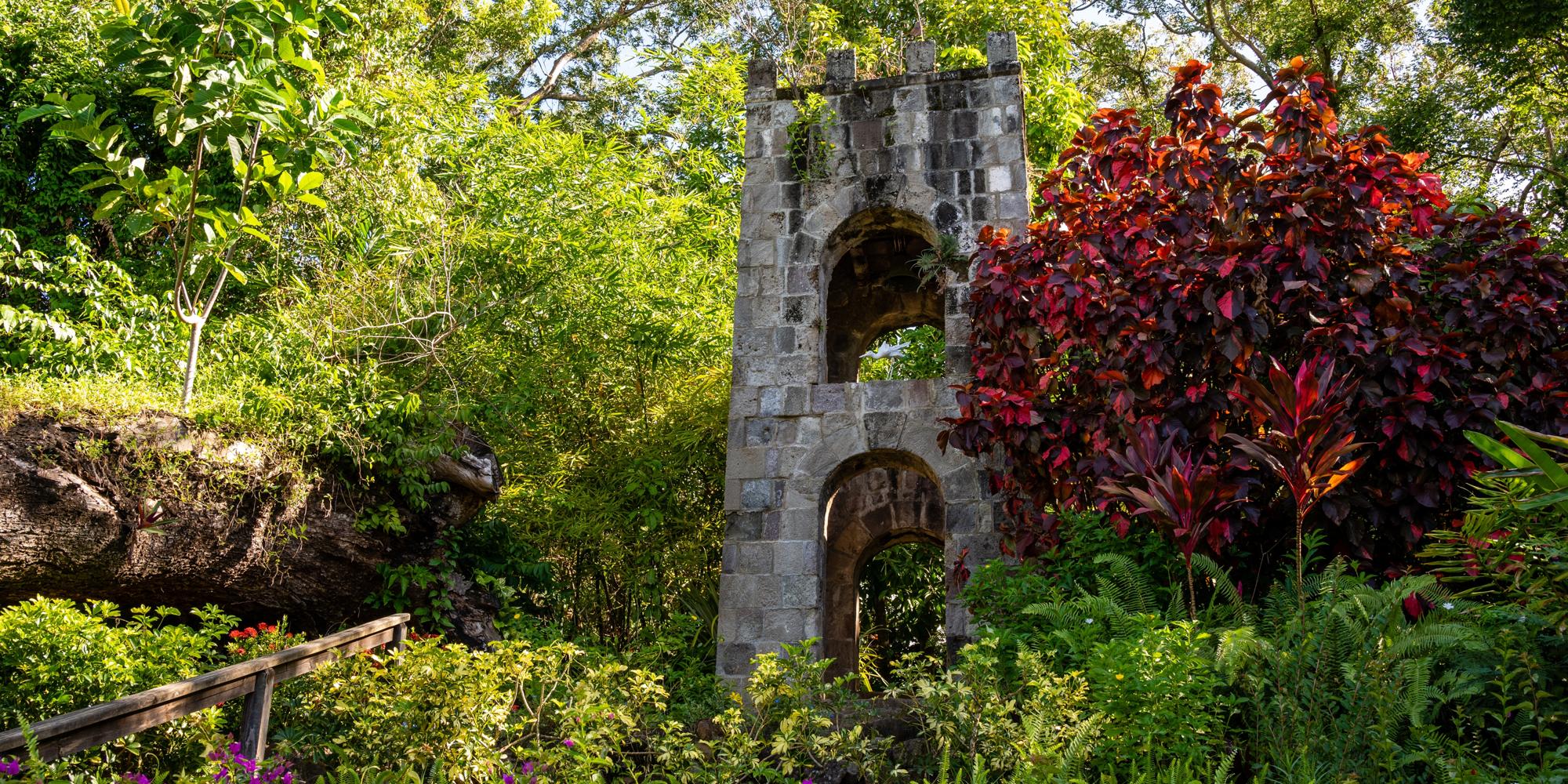 Sugar mill ruin and beautiful rainforest in Wingfield Estate sugar plantation st. kitts